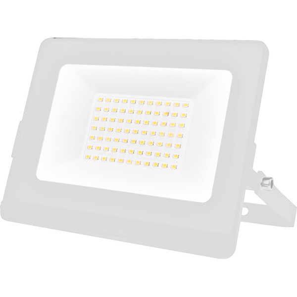 OMEGA50 LED ПРОЖЕКТОР 50W 4000K IP65+АВ, БЯЛ